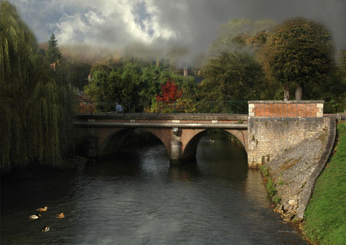 image aleatoire