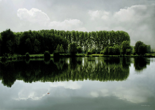 image aleatoire