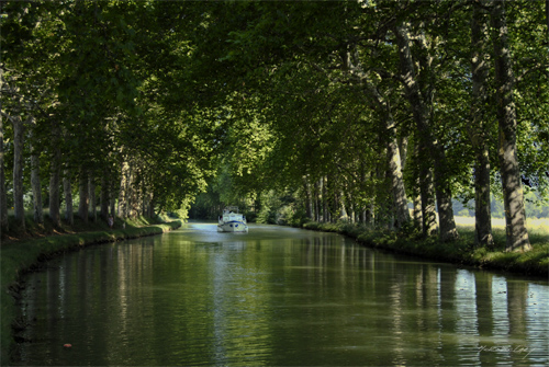 image aleatoire
