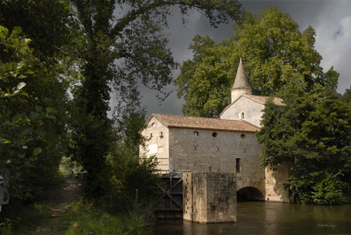 image aleatoire